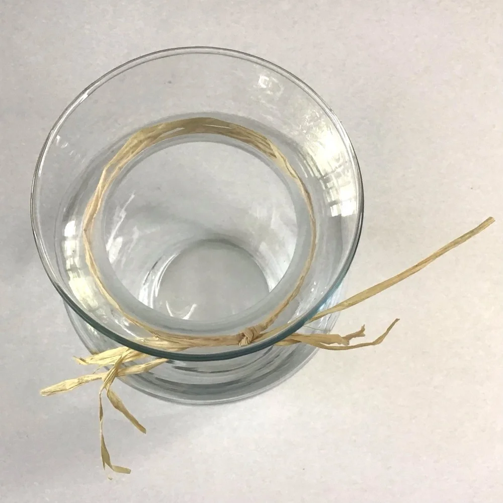 Clear Glass Vase with Natural Raffia Accent 7-3/4” Farmhouse Coastal Minimalist